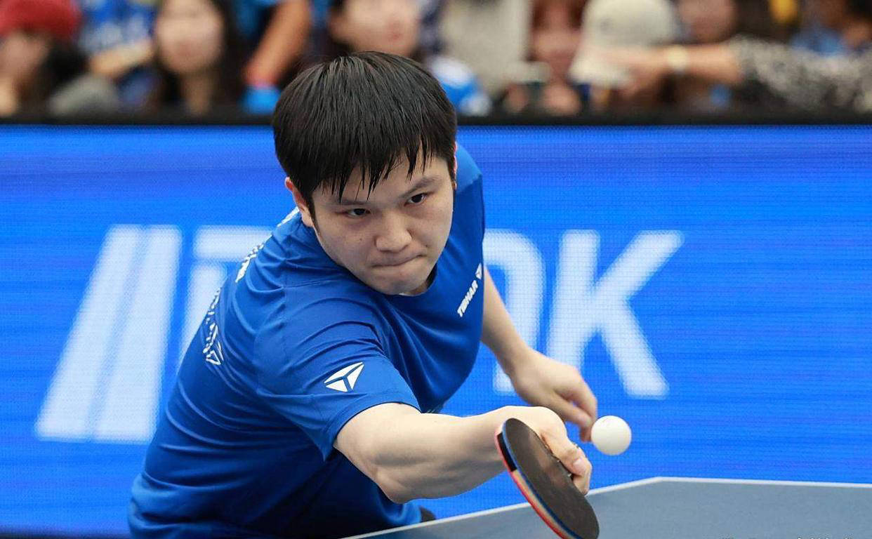 比利时乒乓球队碾压波兰乒乓球队,樊振东爆发神勇 比利时乒乓球队碾压波兰乒乓球队,樊振东爆发神勇