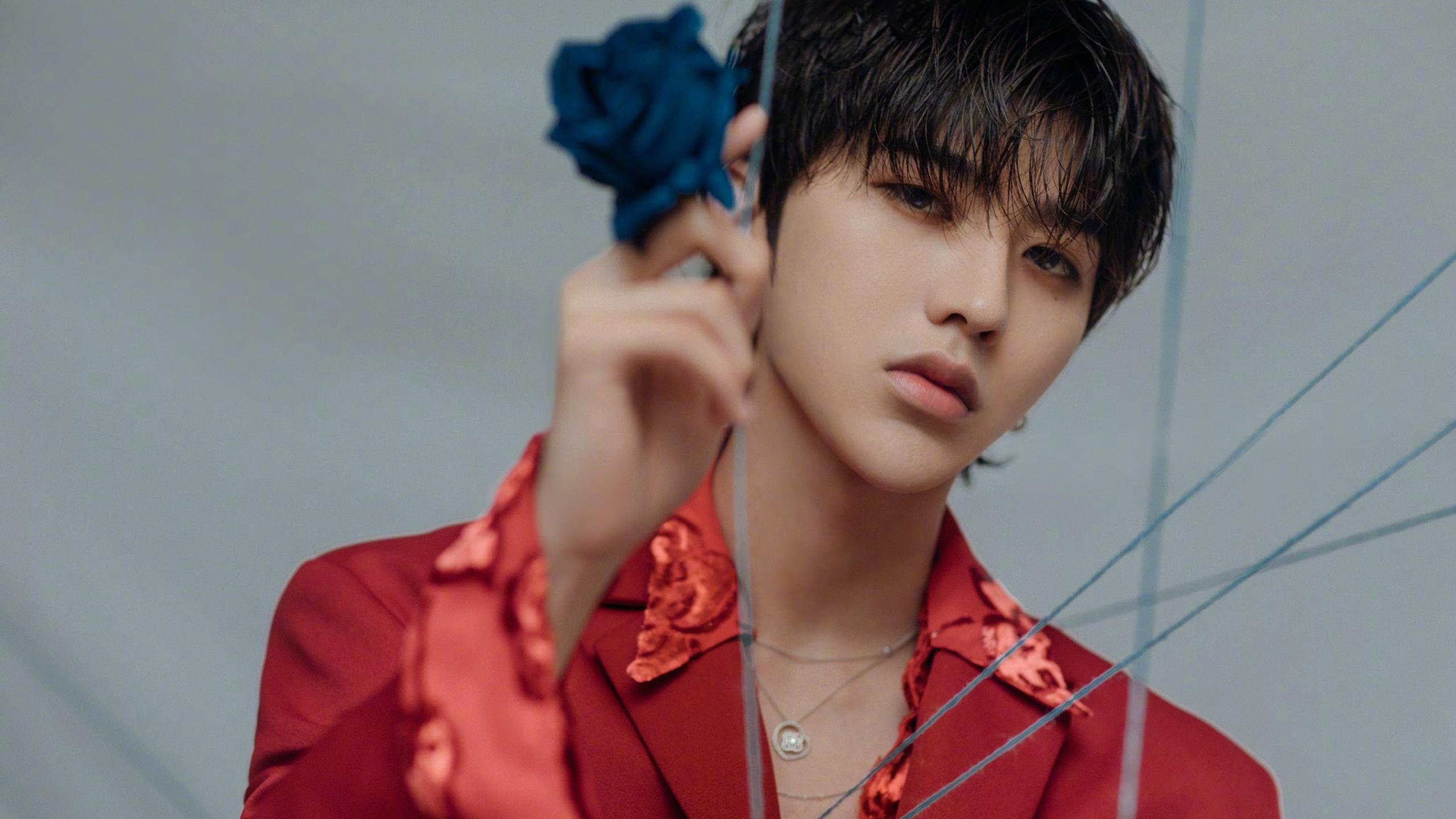 黑马逆袭！张本智和独臂擎天，波兰乒乓创造历史轻取法国队