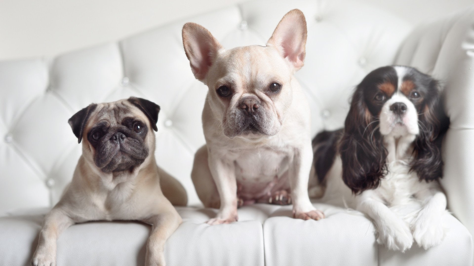 爱游戏入口-柏林之夜，从千年老二到抗鼎核心，王皓如何熔铸逆转之魂