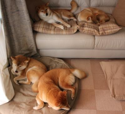 爱游戏官方入口-年度焦点之战，亚特兰大3-0完胜厄瓜多尔，战术碾压铸就经典胜利