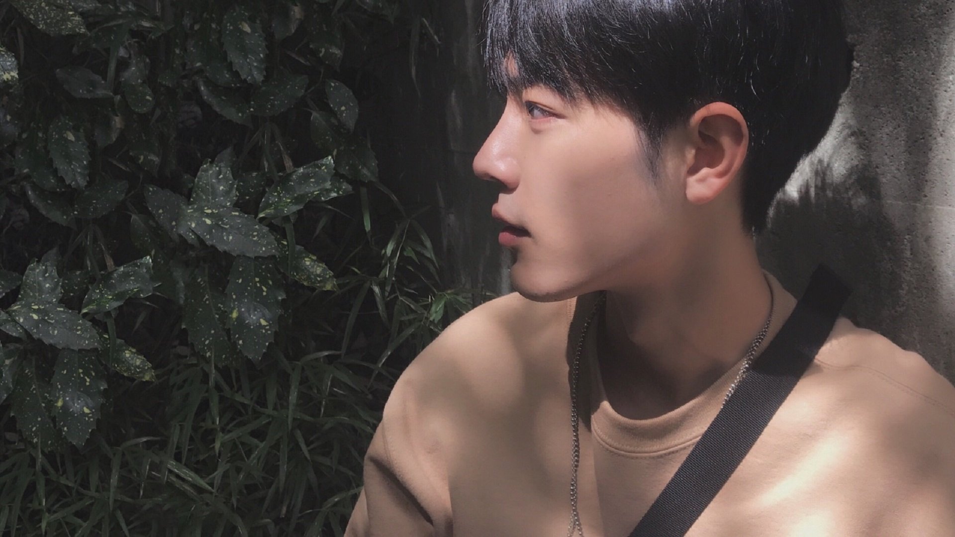 鹈鹕强势晋级，浙江队遗憾止步，切特·霍姆格伦如何成为决定系列赛的唯一关键先生？