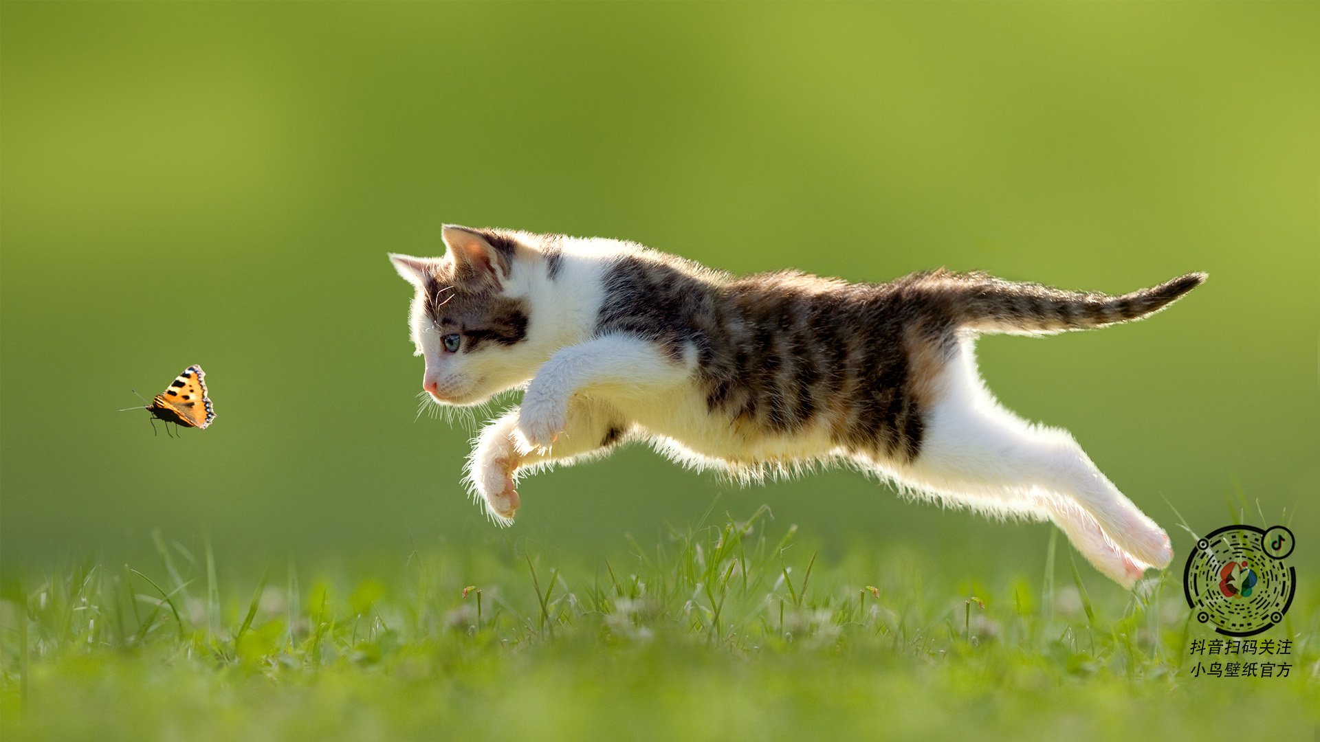 风暴眼中的守护者，恩比德以巨人之躯，扼住雷霆万钧的咽喉