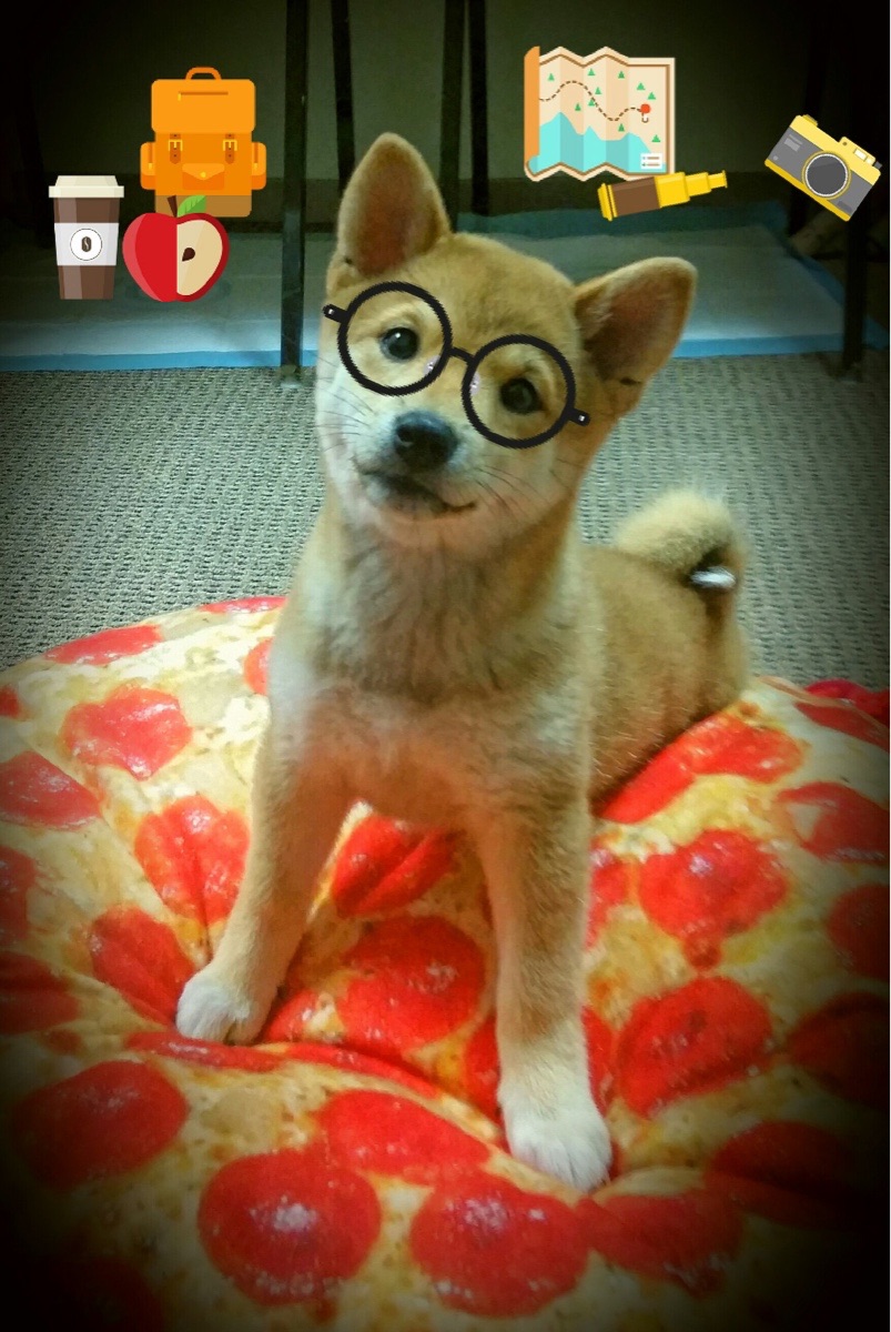 格列兹曼关键战再证大心脏,巴拉圭客场收割罗马尼亚