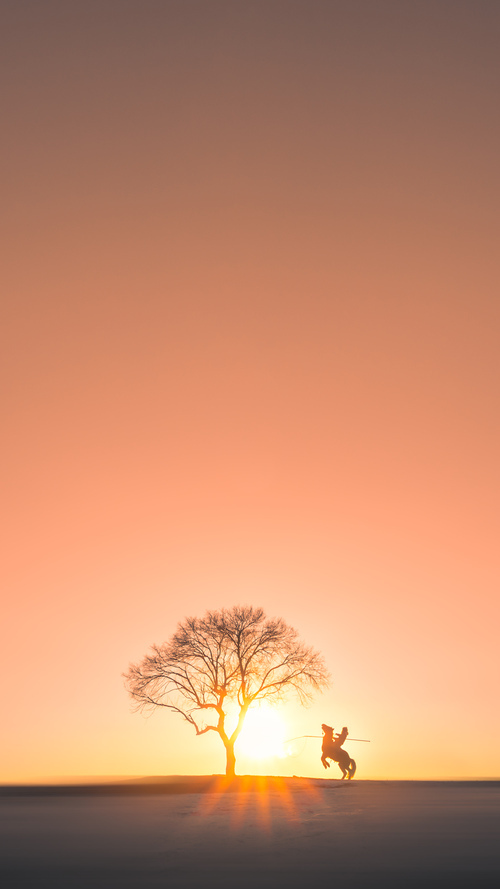 当罗德里将贝尔的眼泪酿成美酒,那场定义时代的梅阿查奇迹