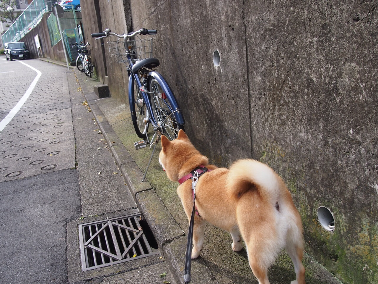 时光交错的篮球诗篇，当山西队遇见火箭，哈登点亮跨文化之夜
