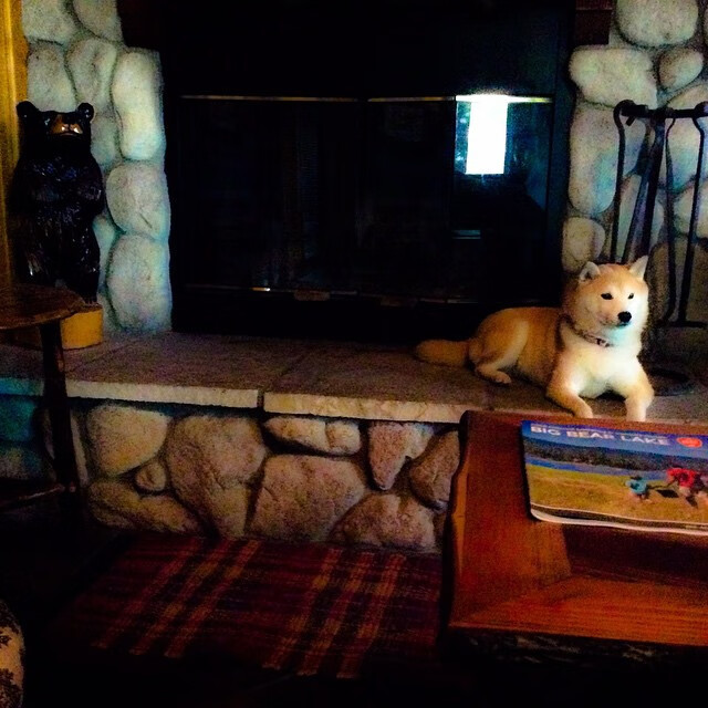 王炸与独角戏，鹈鹕团队火力打穿雷霆，东契奇孤星照亮达拉斯