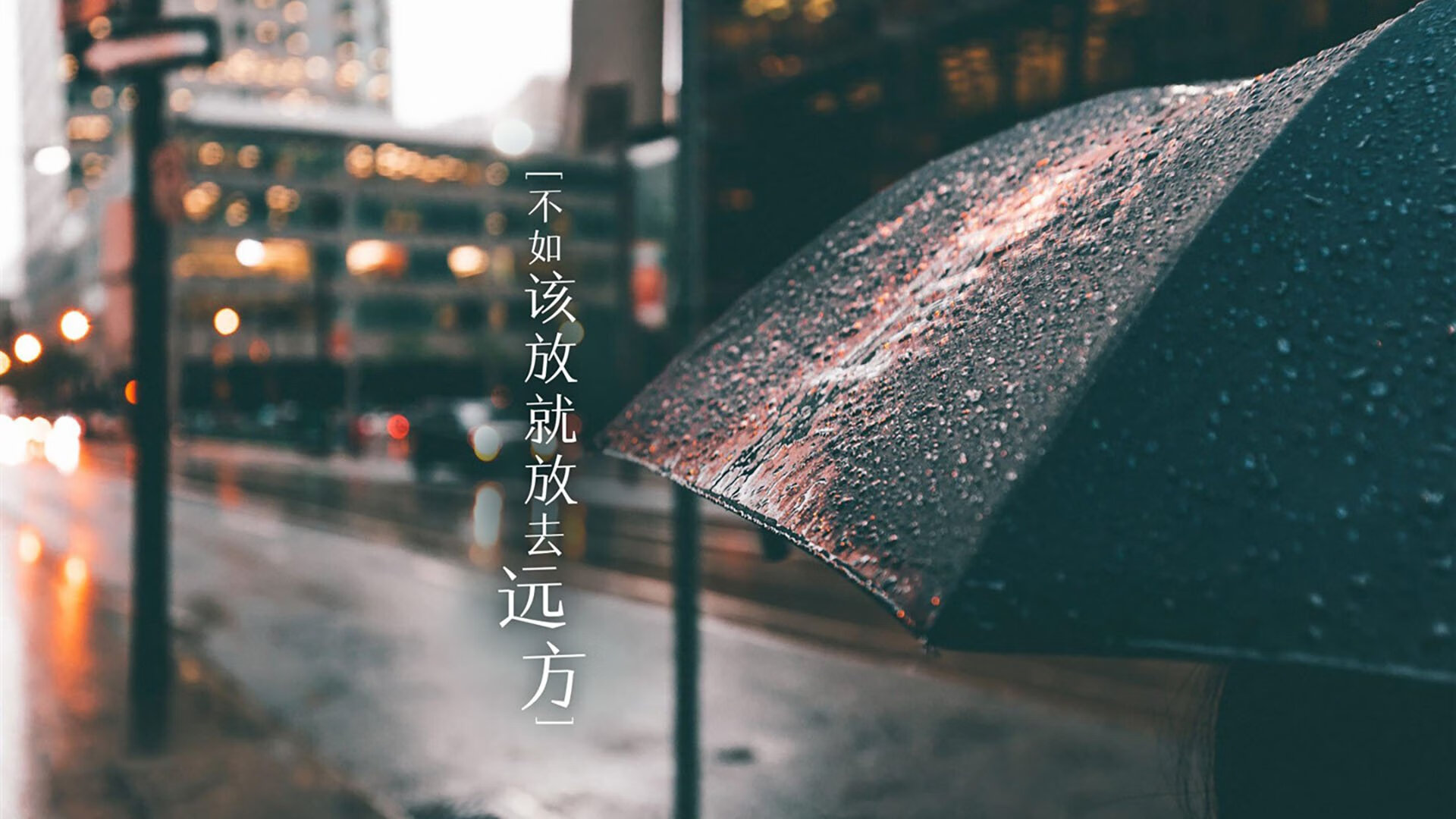 2026世界杯B组焦点战,厄瓜多尔完胜波兰,齐耶赫以魔术师之姿主导全场压制—一场关于唯一性的足球启示录