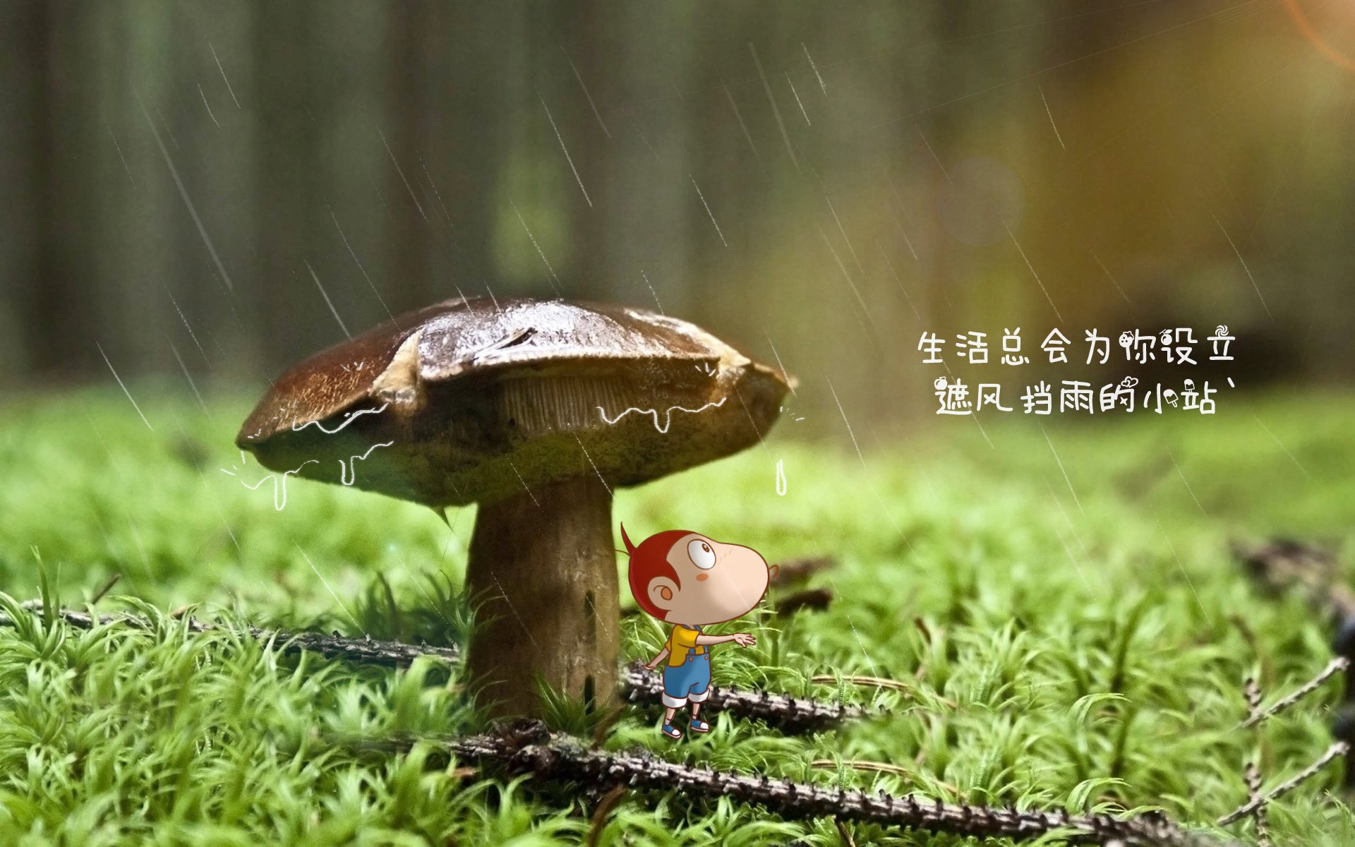 从不可能到唯一,2026世界杯G组,当印度遇见美国,巴雷拉书写历史的那个夜晚
