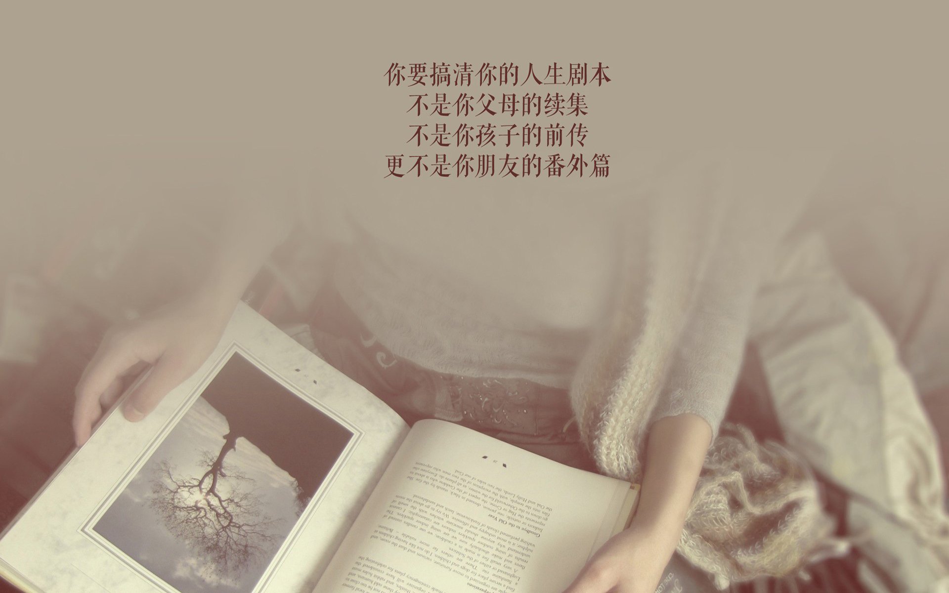 2026,H组的唯一剧本,当斯洛伐克的铁骑踏碎波斯铁骑,塔雷米用绝杀为强硬写下了最后的注脚